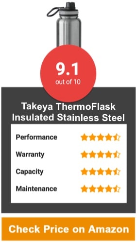 Takeya ThermoFlask Insulated Stainless Steel