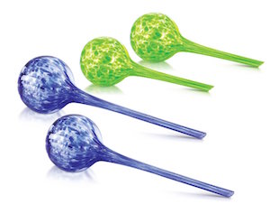 KOVOT Glass Plant Watering Globes Set