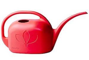 Novelty Indoor Watering Can, 1 Gallon