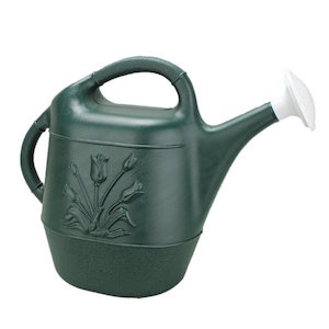 Union 63065 Watering Can with Tulip Design