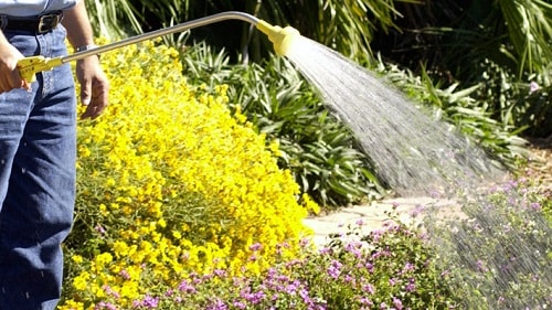 How To Use A Watering Wand In The Garden