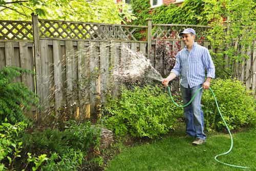 Best Ways to Water Lawn Without a Sprinkler System